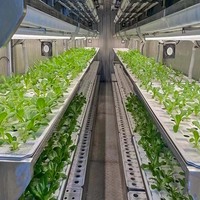 Conteneur de congélation pour culture de plantes, brumisateur, 40HQ, 50 pièces, vertes, hydroponique, en usine, système de contrôle entièrement automatique