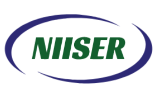 Hubei Niiser Electronics Co., Ltd.