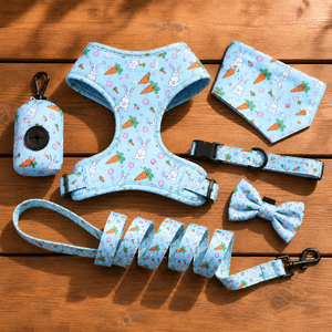 Custom Luxury Puppy Leash <b>Collar</b> Adjustable Pet Poop Bag Bandana Reversible Breathable Neoprene Dog Harness Sets - Product Image 1