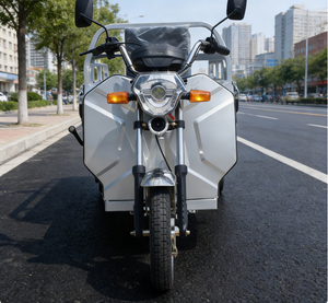 <span class=keywords><strong>Vélo</strong></span> électrique 3 roues tricycles adulte tricycle électrique camping-car tricycle passager avec <span class=keywords><strong>cargo</strong></span> - Product Image 3