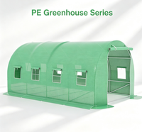 Serre tunnel en PVC 4x3x2 robuste, résistante au gel, pour extérieur, avec porte roulante et structure métallique