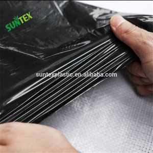 Film de paillis <span class=keywords><strong>en</strong></span> plastique de 25 microns LDPE avec UV pour l'agriculture, le jardin, trou de poinçonnage pour l'ananas, film de paillis noir et <span class=keywords><strong>argent</strong></span>é pour la ferme maraîchère - Product Image 2