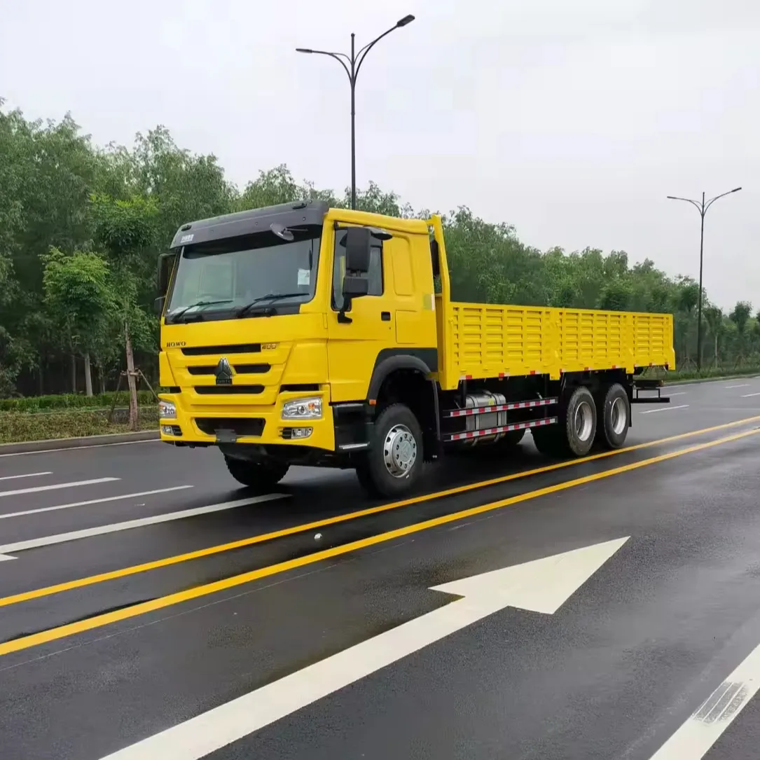 Camion diesel de boîte de 6x4 utilisé par nouveau type de prix intéressant norme d'émission de l'euro 2 camion de cargaison de Sinotruk Howo