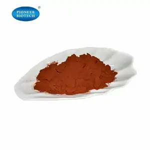 Best Quality Bilirubin Bilirubin 98% Bilirubin Powder