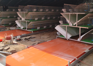 Grandes cages pour lapins bébés <span class=keywords><strong>à</strong></span> nettoyage automatique avec plancher - Product Image 2