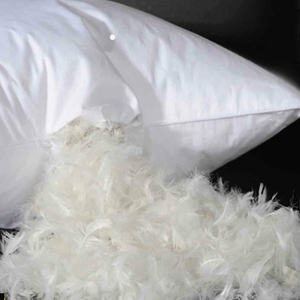 หมอนขนเป็ดแพ็คคู่2025โพลีเอสเตอร์ผ้าฝ้ายโพลีเอสเตอร์กันขนอ่อน - Product Image 1