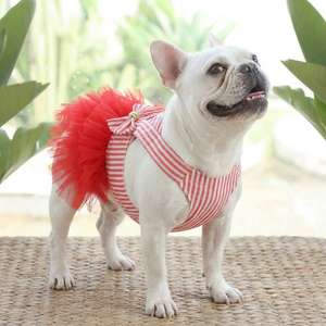 Bahar yaz Polyester dantel peçe köpek elbise lüks evcil hayvan giysileri Pet Shop tedarikçi t-shirt sevimli özel Logo Opp torba resim - Product Image 3