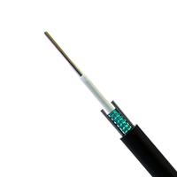 Câble optique articulé pour l'extérieur, GYXTW 4 8 12 Core, Mode simple SM MM G652 G657 OS1 OS2 OM1 OM2 OM3 OM4