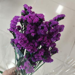 Composizione Floreale di Nontiscordimé e Limonium Essiccati, Bouquet Naturale Essiccato per la Festa della Mamma, Matrimoni e Decorazioni Interne - Product Image 4