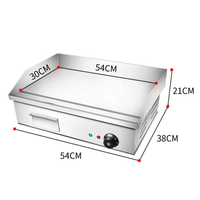 Plaque de cuisson électrique professionnelle en acier inoxydable pour extérieur, 1000-3000W, haute température, pour restaurant et usage domestique