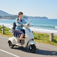 Tricycle électrique Holladay, nouveau modèle, avec écran LED, scooter électrique 2 places avec compartiment de rangement arrière
