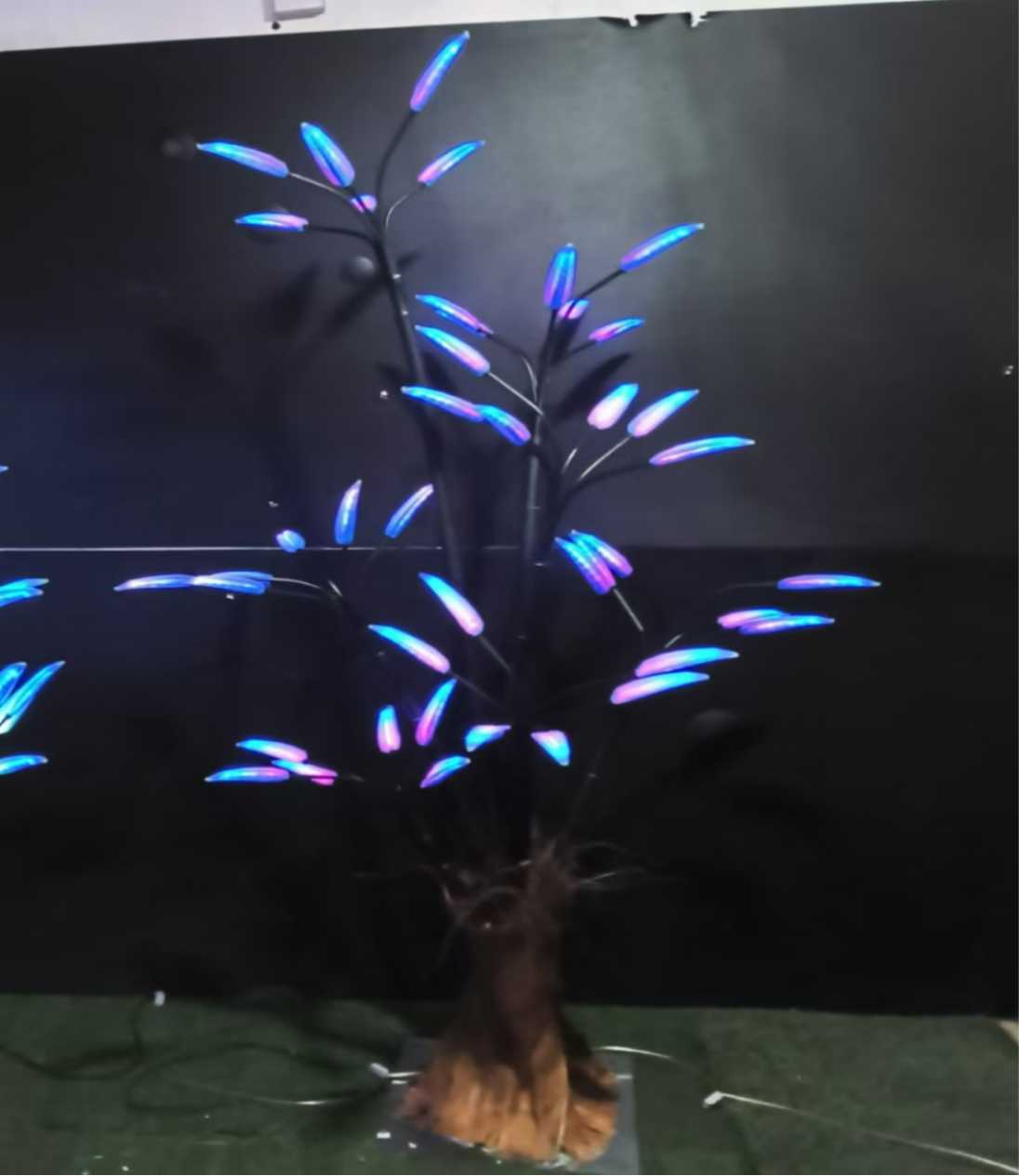 High blue leaf tree