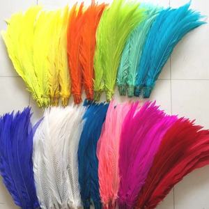 カーニバル用バックパックコスチュームヘアドレス装飾用,50-65cm染めシルバーキジの羽 - Product Image 3