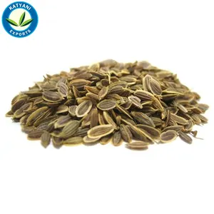 Olio di semi di aneto naturale di vendita all'ingrosso di alta qualità 100% biologico
