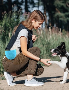 Fabricante de Guangdong, bolsa de entrenamiento <span class=keywords><strong>para</strong></span> tratar <span class=keywords><strong>perros</strong></span>, bolsa de silicona <span class=keywords><strong>para</strong></span> tratar <span class=keywords><strong>perros</strong></span>, bolsa portátil <span class=keywords><strong>para</strong></span> tratar <span class=keywords><strong>perros</strong></span>, bolsa <span class=keywords><strong>para</strong></span> actividades al aire libre - Product Image 6