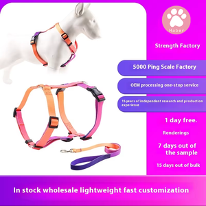Fabricante, precio al por mayor, lujo, superventas, moda personalizada, <span class=keywords><strong>collar</strong></span> de nailon para perro, correa, arnés, productos para mascotas, característica acolchada - Product Image 5