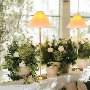 60CM Tall Iron LED <strong>Cordless</strong> Fabric Table <strong>Lamp</strong> Touch Remote Rechargeable Lampshade <strong>Floor</strong> <strong>Lamp</strong> E14 Wedding Events Decorations - Product Image 1