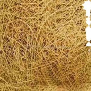 Fibre de coco traitée sans humidité, fibre de coco durable et de haute qualité pour les applications industrielles domestiques et d'exportation - Product Image 1