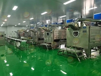 Grote Capaciteit Automatische Ijs Chocolade Snoep Coating Machine Voor Notenpinda