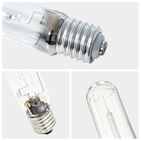 Lampe au sodium HID 250W T46 E40 28000lm 2000K 100V 3A Éclairage public HPS Garantie 1 an 18000h