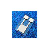 50μm Electrodo interdigital de platino Pt Biosensor de humedad de gas de vidrio de cuarzo OEM con electrodo de horquilla de platino