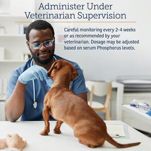 TK Çok Satan Köpek ve Kedi Vitamin Takviyesi Tozu, Bağırsak ve Böbrek Sağlığı için Phos-Bind ile - Product Image 4