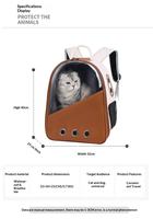 Sac à dos transparent et ajustable avec fermeture éclair, écologique, mignon, moderne, pour l'extérieur, en PVC, Oxford, nylon, respirant, imperméable et portable