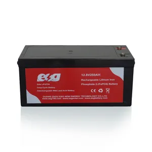 ESG รอบลึกชีวิตยาวเก็บพลังงานแสงอาทิตย์แบตเตอรี่ลิเธียมไอออนฟอสเฟต12v100ah พร้อม BMS ในตัว