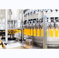 Productielijn voor mango- en ananassap/fruitsapverwerkingslijn