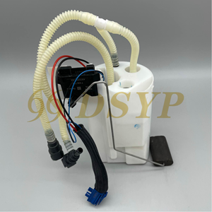 Ensemble de pompe à carburant de pièces de voiture DSYP pour <span class=keywords><strong>BMW</strong></span> E46 E90 E39 E83 <span class=keywords><strong>E53</strong></span> <span class=keywords><strong>X5</strong></span> E70 Z4 E89 16117373458 16117217261 16147363076 16146766177 - Product Image 2