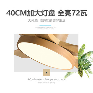 Modern Minimalist <b>Ceiling</b> <b>Fan</b> Light With Led Fixed Blade For Living Room Bedroom Dining Room Silent Inverter <b>Fan</b> Light - Product Image 4