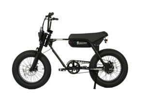 Bicicleta Eléctrica de Montaña en Stock en la UE, Llanta Gruesa de 20 Pulgadas, Motor sin Escobillas de 750W, Freno de Disco Hidráulico, Cuadro de Aluminio, Bicicleta Eléctrica para Adultos - Product Image 2