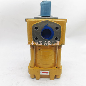 Pompe à engrenages interne haute pression Nt2 G12f 25mpa pour machines à cintrer, entraînement électrique en fonte - Product Image 3