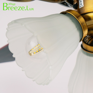 Trung Quốc Quạt trần giá cao hiệu suất chi phí nhà cho 5 Blades Đèn quạt - Product Image 4