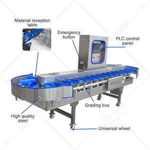 Máquina clasificadora de frutas con cinturón automático OCEAN, ostra, <span class=keywords><strong>Caracol</strong></span>, ostra, pescado <span class=keywords><strong>vivo</strong></span>, máquina de peso y clasificación - Product Image 2