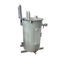 Oferta Especial: Transformador de Distribución Monofásico de 75 kVA, 10 kV, 60 Hz, con Aceite, 100% Cobre, S11/13, para Montaje en Poste