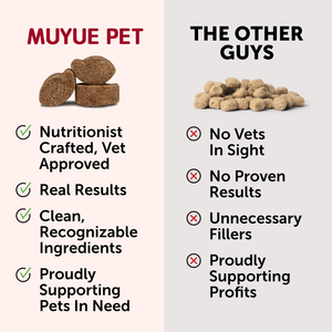 OEM/ODM Nutrición para Mascotas, Cuidado de la Salud, Golosinas Blandas para Perros, Absorción Rápida, Soporte Urinario, Salud Digestiva, Arándano - Product Image 2