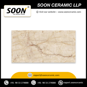 Export Quality 600x600mm Glazed Vitrified Porcelain <b>Tiles</b> Glossy Surface Non-Slip I-Genovacrema Traditional Design Exterior <b>Tile</b> - Product Image 4