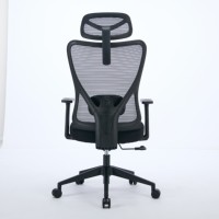 Chaise de bureau ergonomique à dossier haut, chaise de direction, accoudoirs réglables, appui-tête, fabriquée en PP durable, moderne, soutien lombaire 2D, grande taille, maille
