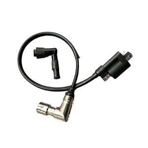 คอยล์จุดระเบิดอเนกประสงค์ยี่ห้อ YiQiao แรงดันสูง 150 200 250 ซีซี พร้อมปลอกหัวเทียนพลาสติก ด้านขวา สำหรับรถจักรยานยนต์ รุ่นใหม่ - Product Image 2