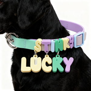 <span class=keywords><strong>Collare</strong></span> <span class=keywords><strong>per</strong></span> Animali Domestici in Silicone Personalizzato Taglie S M L <span class=keywords><strong>con</strong></span> Lettere dell'Alfabeto <span class=keywords><strong>Nome</strong></span> e Ciondoli <span class=keywords><strong>per</strong></span> Gatti e Cani di Piccola Taglia - Product Image 2