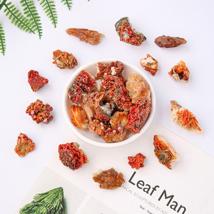 Venta al por mayor Piedras curativas a granel Cristal Piedra preciosa cruda en bruto Muestras minerales naturales Vanadinita Mineral Piedra Vanadinita Mineral - Product Image 2