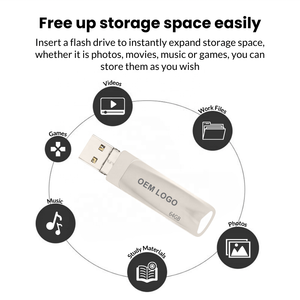Bán buôn USB <span class=keywords><strong>Flash</strong></span> <span class=keywords><strong>Drive</strong></span> 512 GB Pendrive 1TB 2TB Memory Stick 64GB 128GB 256GB 8GB 16GB 32GB <span class=keywords><strong>Flash</strong></span> <span class=keywords><strong>Drive</strong></span> Loại C OTG - Product Image 3