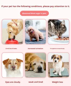 고양이와 개를 위한 6초 빠른 검사 및 0.8L 샘플 크기의 반려동물 혈당 측정기-공장 직판 - Product Image 3
