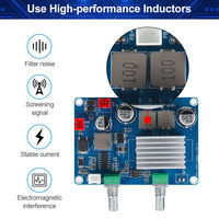 VIRE 100W Mini amplificateur haute puissance basse Mono canal carte amplificateur numérique TPA3116 classe D Module caisson de basses numérique Audio