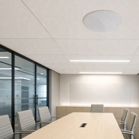 Haut-parleur de plafond OEM d'usine 8 pouces, grille magnétique blanche, tweeter à dôme en aluminium 25 mm, étanche IPX-4/6 en plastique pour home cinéma
