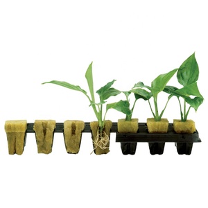 หินป<span class=keywords><strong>ล</strong></span>ูกพืชไร้ดินคุณภาพสูงราคาส่งถูก - Product Image 5