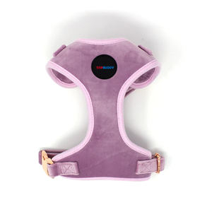 Vente <span class=keywords><strong>en</strong></span> gros Ensemble <span class=keywords><strong>de</strong></span> chien <span class=keywords><strong>en</strong></span> velours violet clair avec quincaillerie <span class=keywords><strong>en</strong></span> métal doré rose-Harnais réglable <span class=keywords><strong>Collier</strong></span> Laisse Porte-sac à crottes & Noeud papillon - Product Image 2