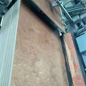 <span class=keywords><strong>Contreplaqué</strong></span> d'intérieur de meubles de noyau de <span class=keywords><strong>peuplier</strong></span> face au bouleau - Product Image 2