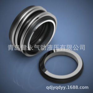 ซีลกันรั่วแบบโรตารี่ รุ่น AOT1F 025 โครงสร้างสปริงหลายชั้น สำหรับปั๊มน้ำ - Product Image 4